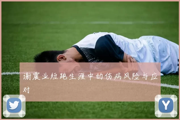 谢震业短跑生涯中的伤病风险与应对