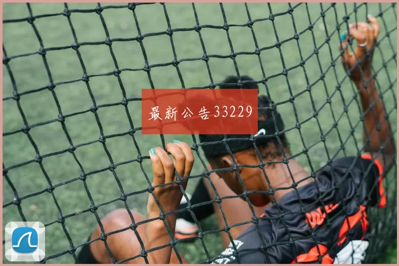 最新公告33229