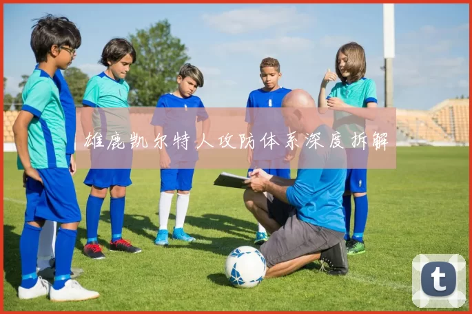 雄鹿凯尔特人攻防体系深度拆解