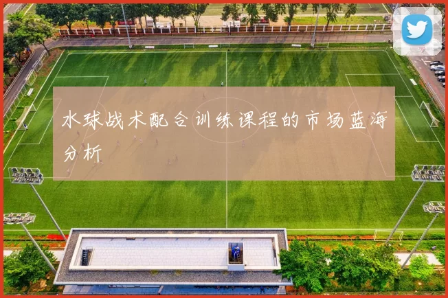 水球战术配合训练课程的市场蓝海分析
